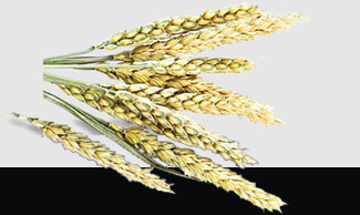 AG真人国际(中国) - 官方网站