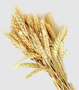 AG真人国际(中国) - 官方网站