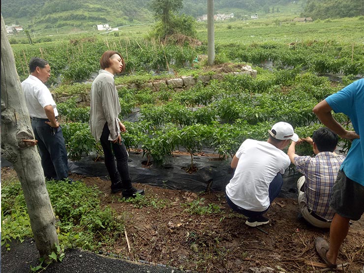 AG真人国际(中国) - 官方网站