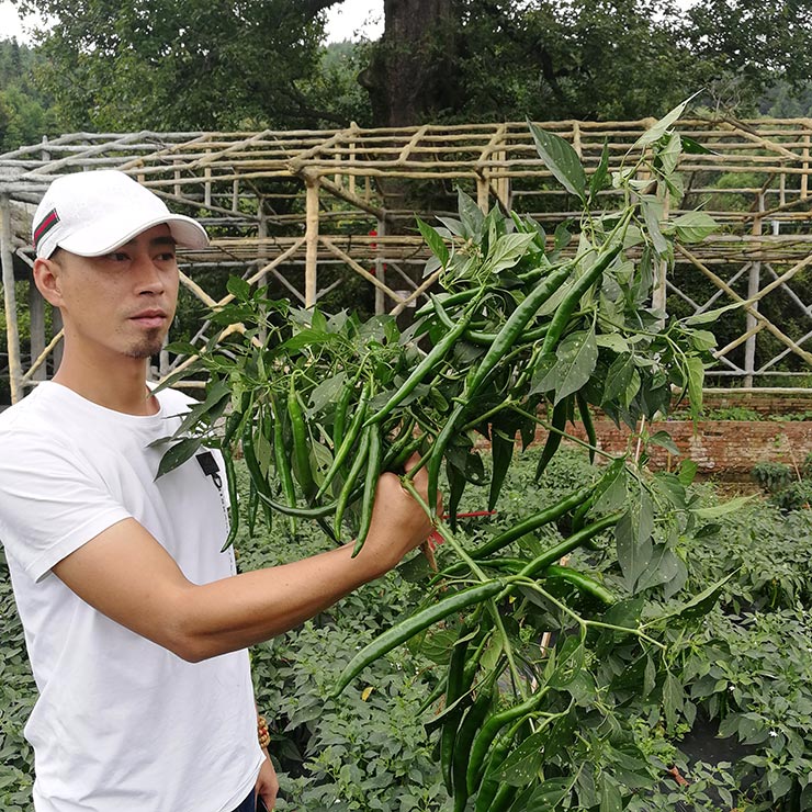 AG真人国际(中国) - 官方网站