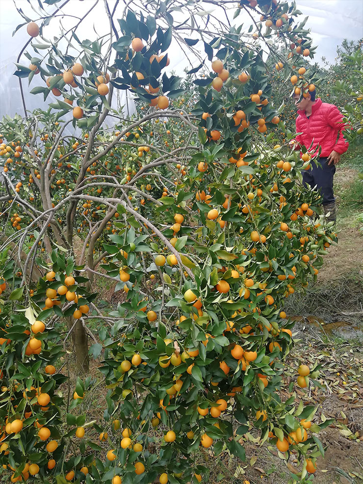 AG真人国际(中国) - 官方网站