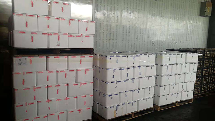 AG真人国际(中国) - 官方网站