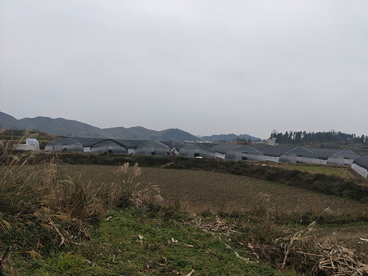 AG真人国际(中国) - 官方网站