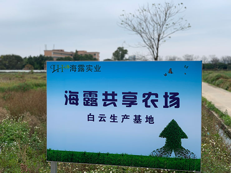 AG真人国际(中国) - 官方网站