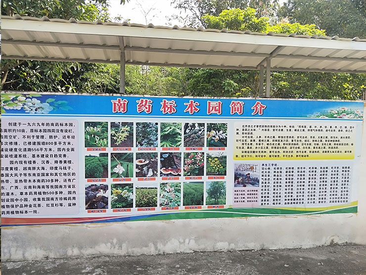 AG真人国际(中国) - 官方网站