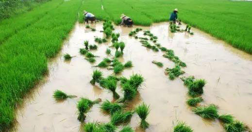 AG真人国际(中国) - 官方网站