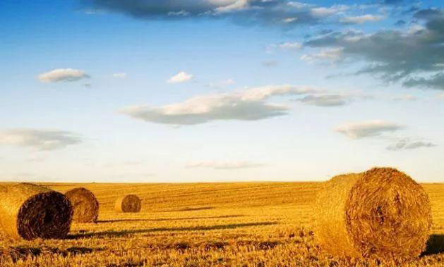 AG真人国际(中国) - 官方网站