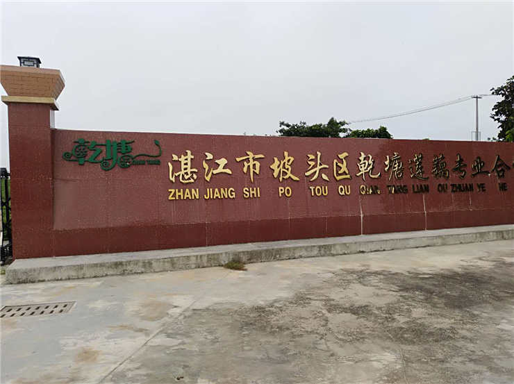 AG真人国际(中国) - 官方网站