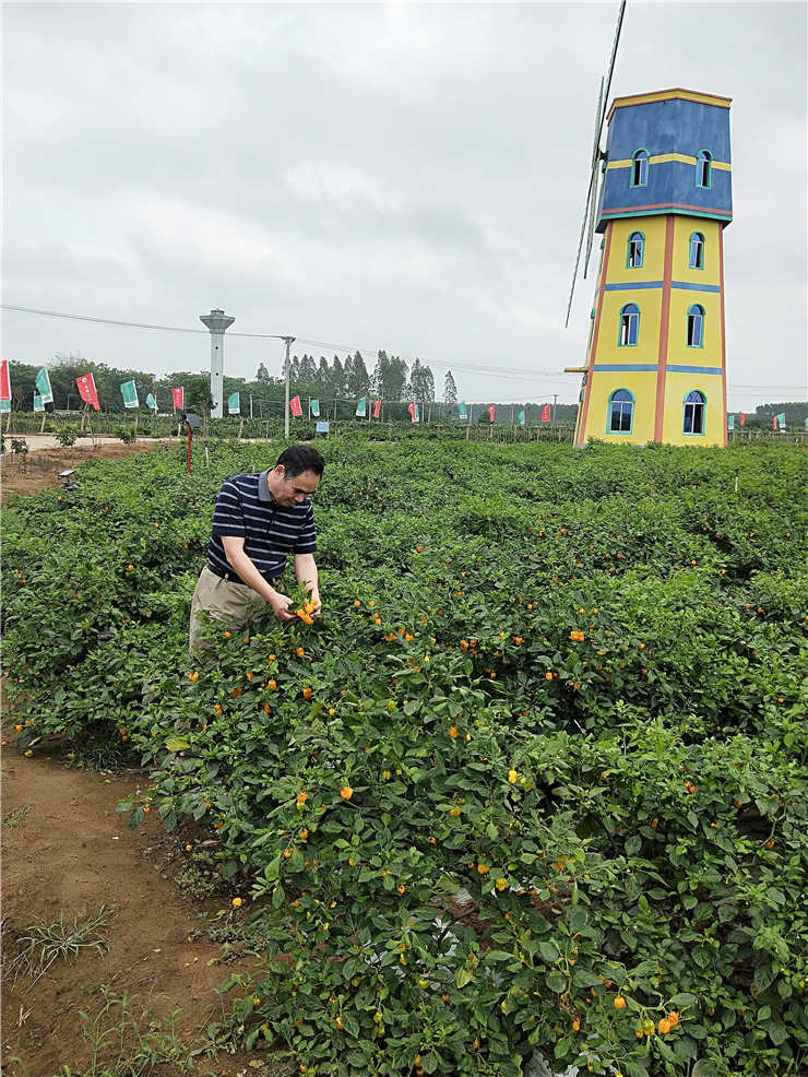 AG真人国际(中国) - 官方网站