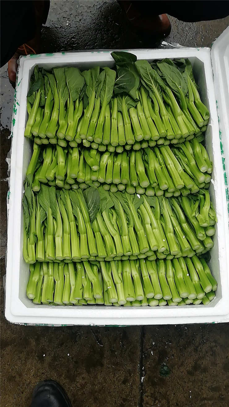 AG真人国际(中国) - 官方网站