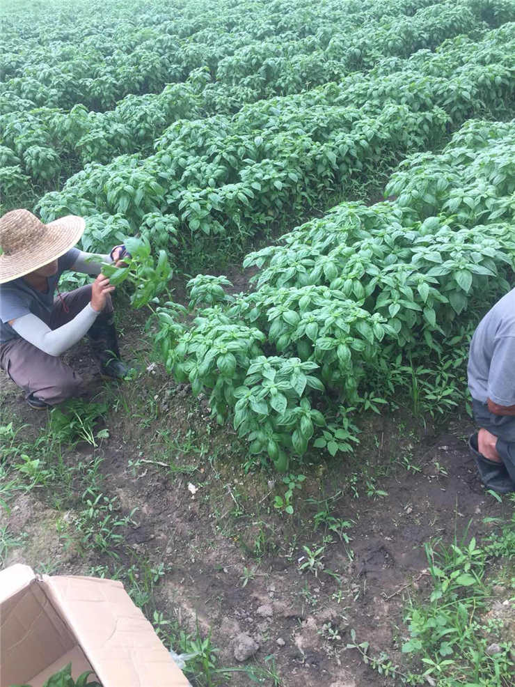 AG真人国际(中国) - 官方网站