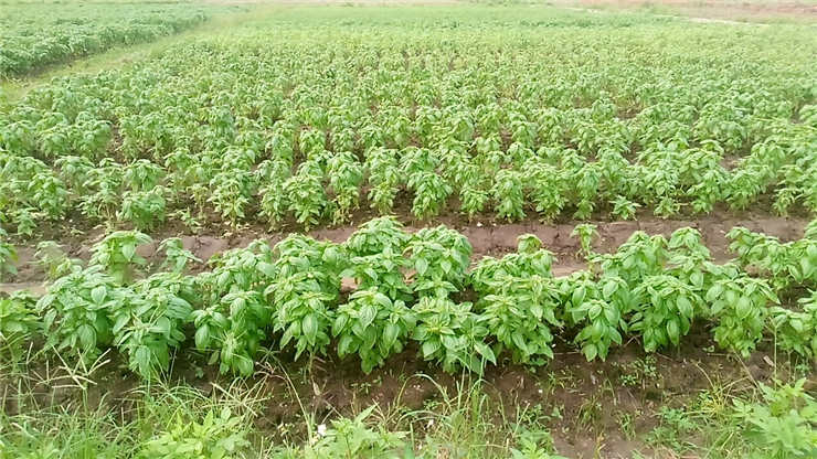 AG真人国际(中国) - 官方网站