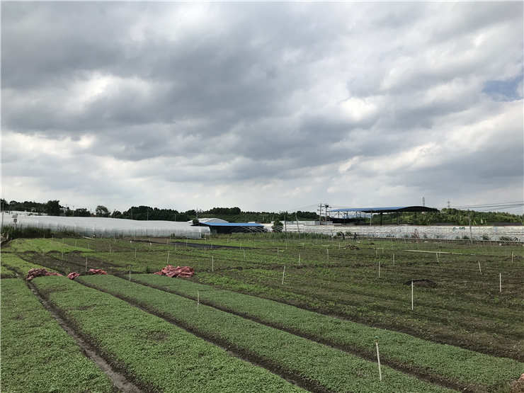 AG真人国际(中国) - 官方网站