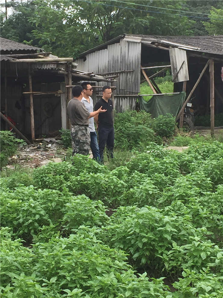 AG真人国际(中国) - 官方网站