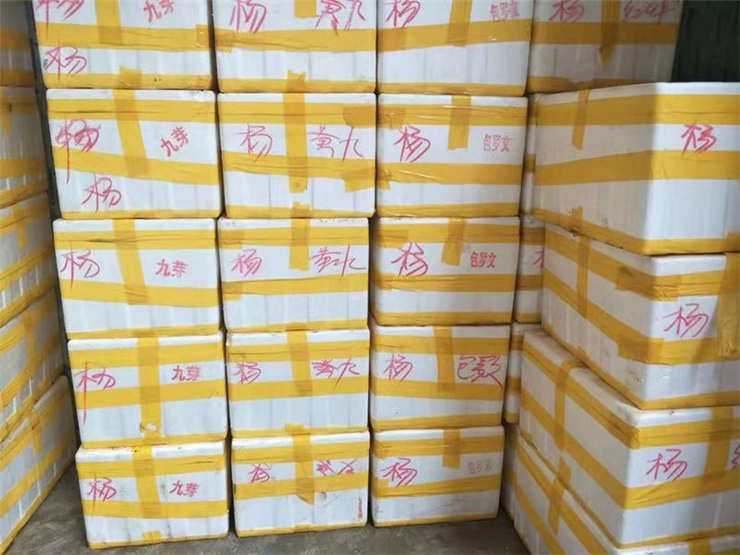 AG真人国际(中国) - 官方网站