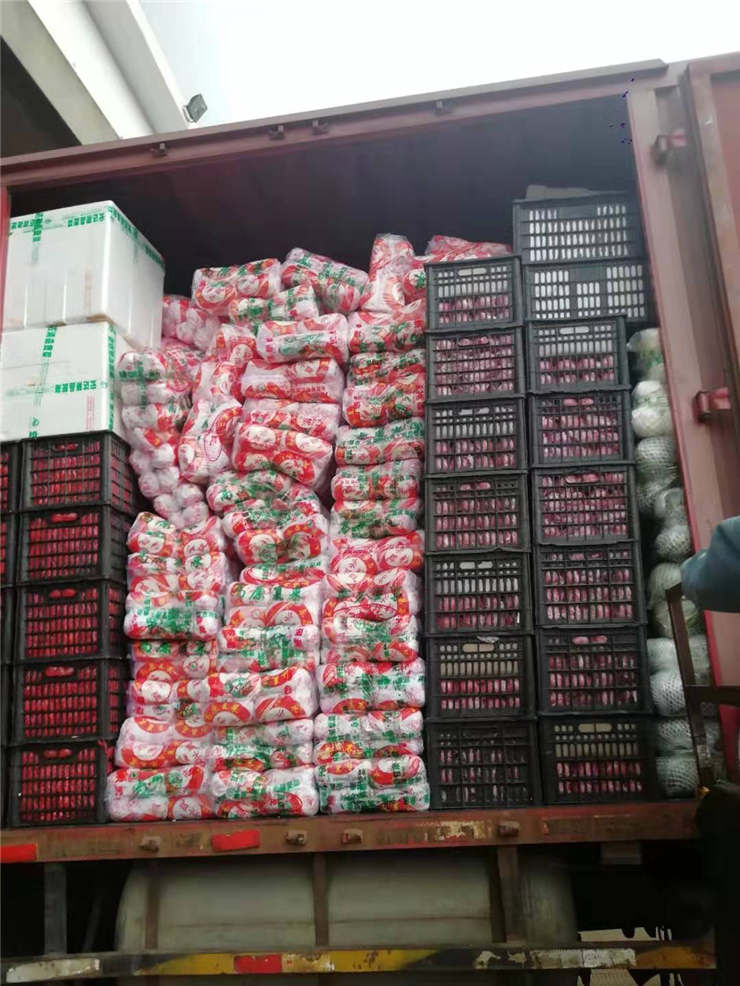 AG真人国际(中国) - 官方网站