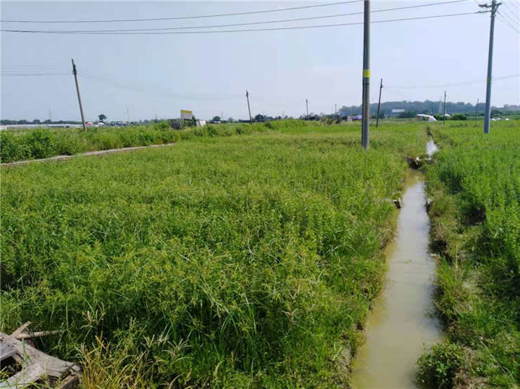 AG真人国际(中国) - 官方网站