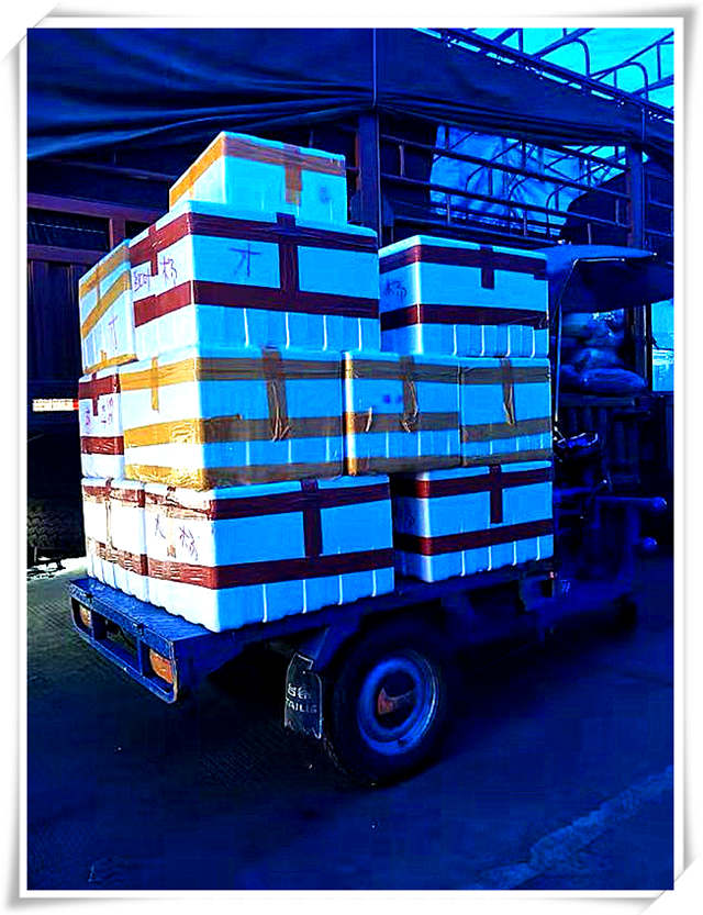 AG真人国际(中国) - 官方网站