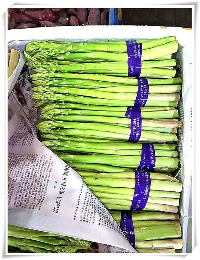 AG真人国际(中国) - 官方网站