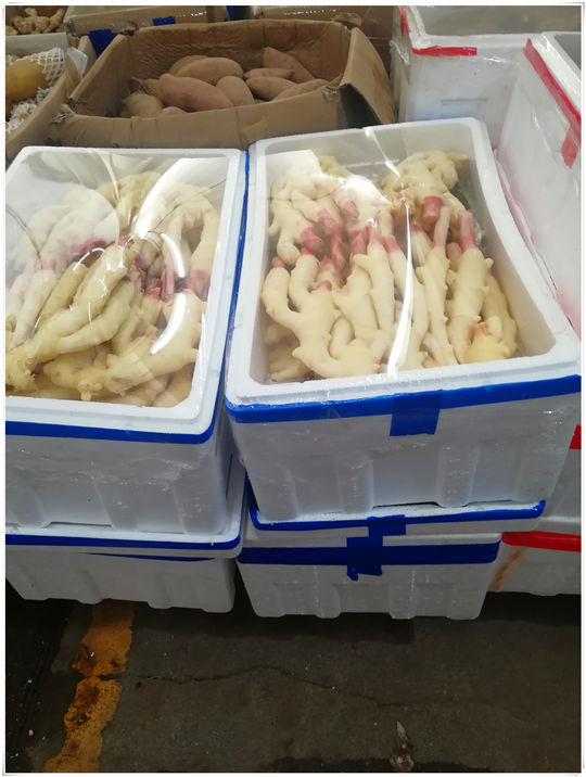 AG真人国际(中国) - 官方网站