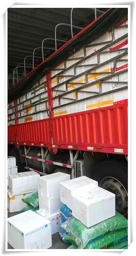 AG真人国际(中国) - 官方网站