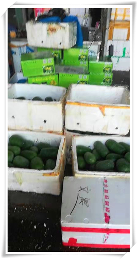 AG真人国际(中国) - 官方网站