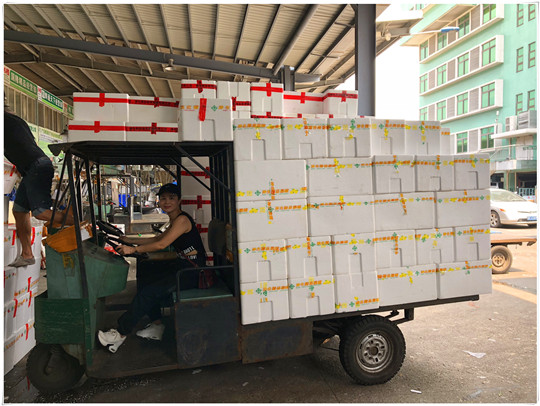 AG真人国际(中国) - 官方网站