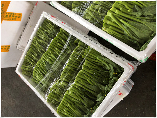 AG真人国际(中国) - 官方网站