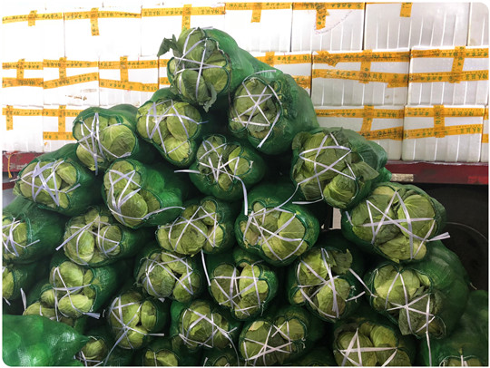 AG真人国际(中国) - 官方网站