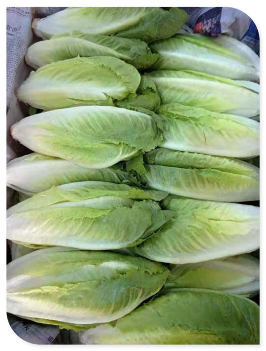 AG真人国际(中国) - 官方网站