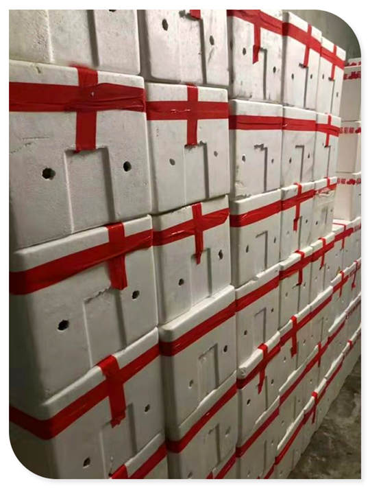 AG真人国际(中国) - 官方网站