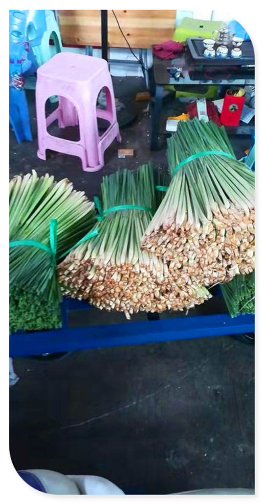 AG真人国际(中国) - 官方网站