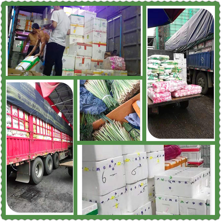 AG真人国际(中国) - 官方网站