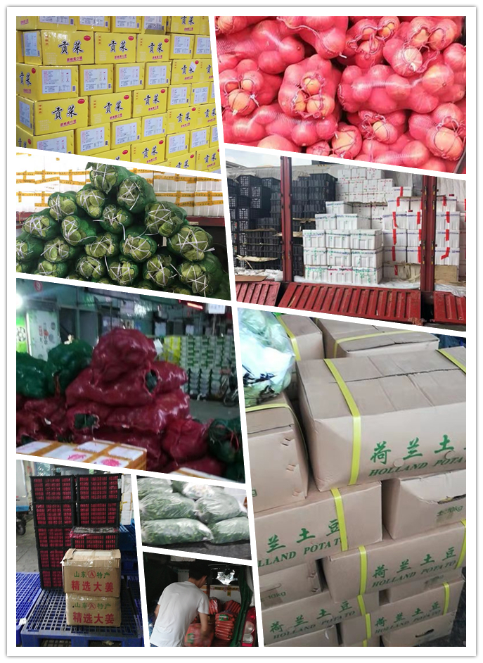 AG真人国际(中国) - 官方网站