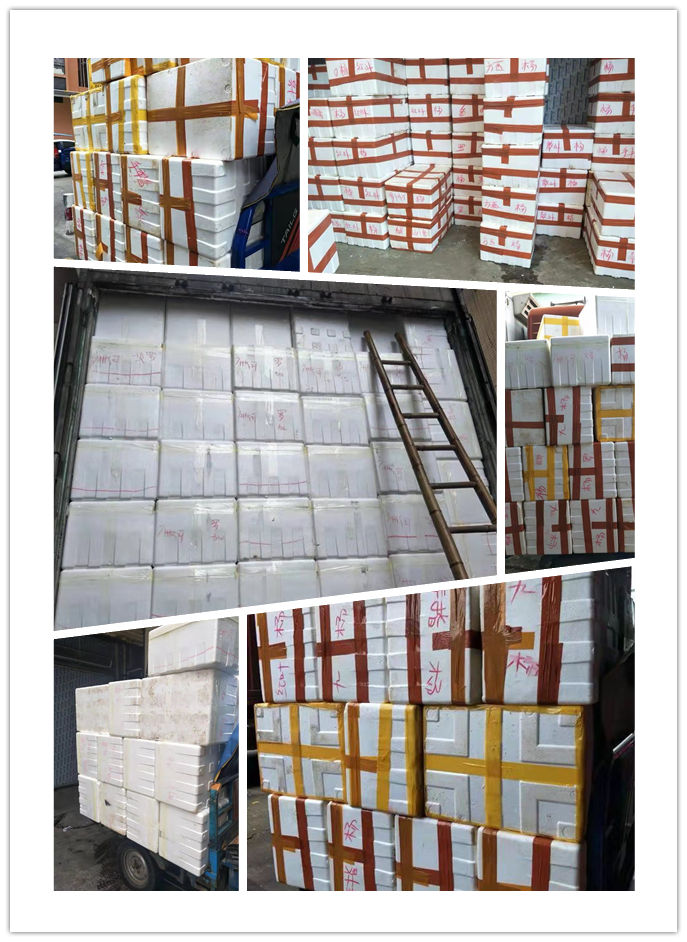 AG真人国际(中国) - 官方网站