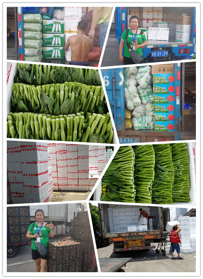 AG真人国际(中国) - 官方网站