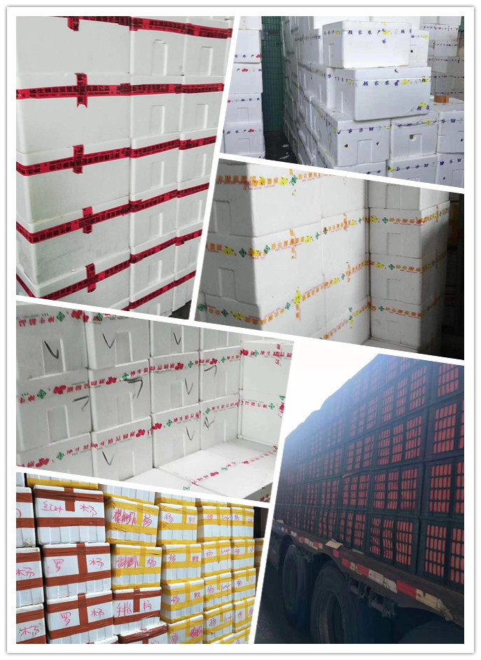 AG真人国际(中国) - 官方网站