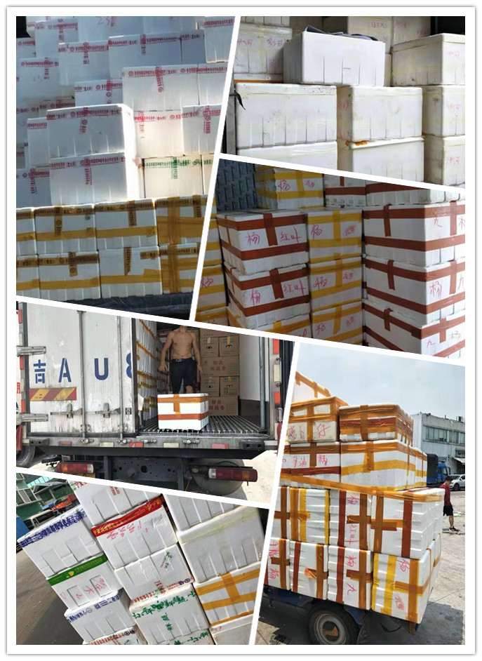 AG真人国际(中国) - 官方网站