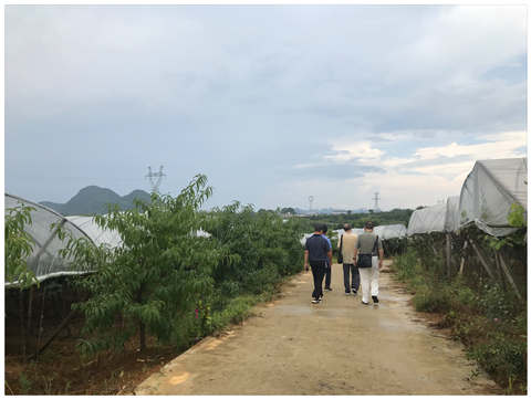 AG真人国际(中国) - 官方网站