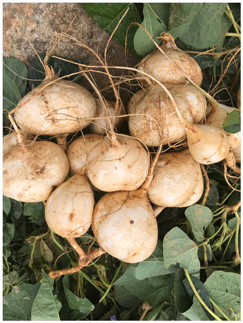 AG真人国际(中国) - 官方网站