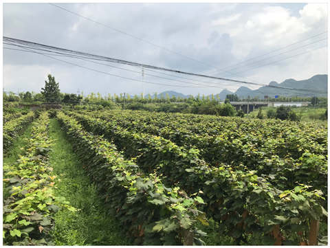 AG真人国际(中国) - 官方网站