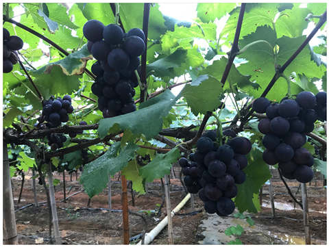 AG真人国际(中国) - 官方网站