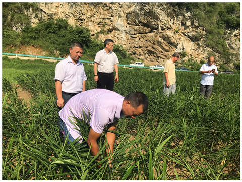 AG真人国际(中国) - 官方网站