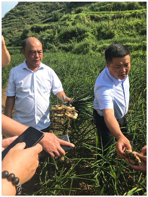 AG真人国际(中国) - 官方网站