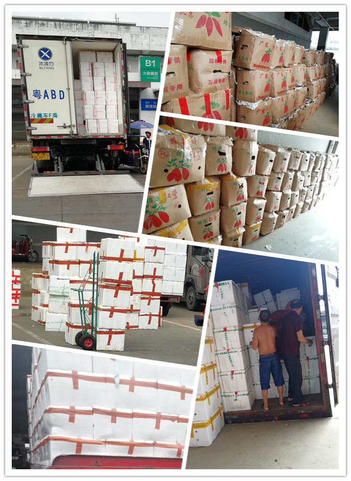 AG真人国际(中国) - 官方网站