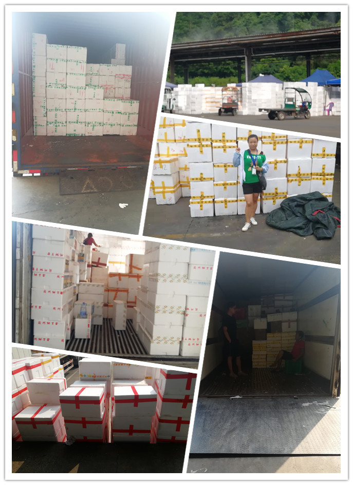 AG真人国际(中国) - 官方网站