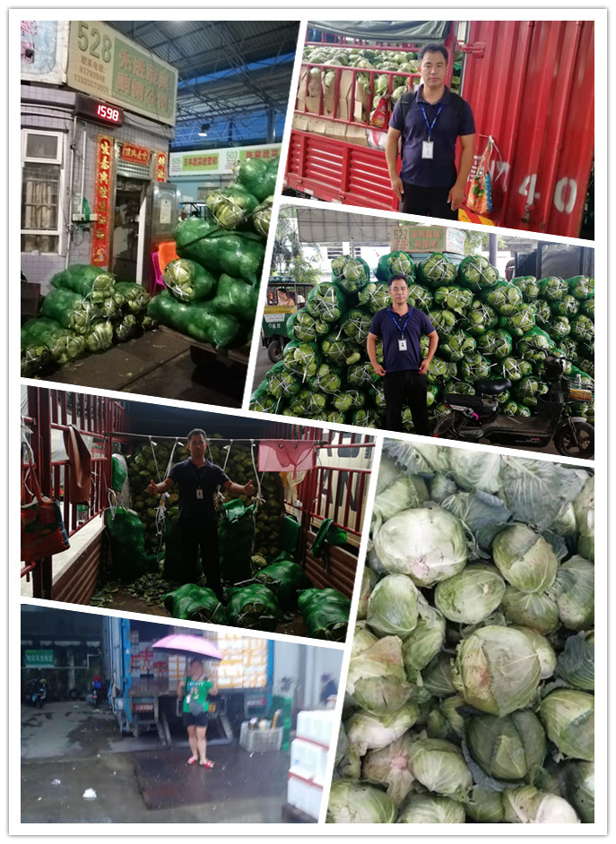 AG真人国际(中国) - 官方网站