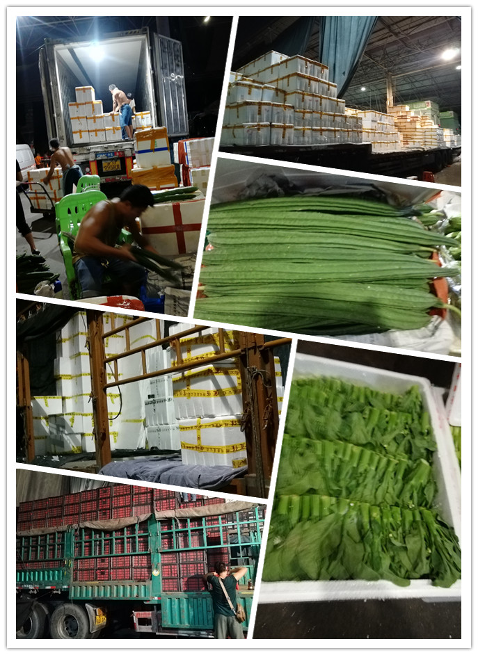 AG真人国际(中国) - 官方网站