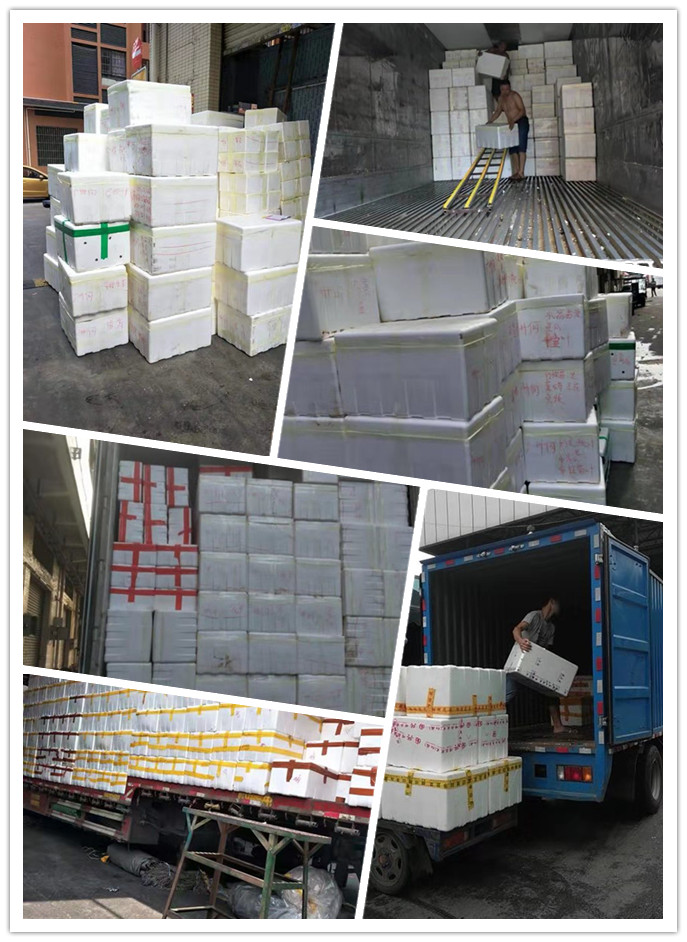 AG真人国际(中国) - 官方网站