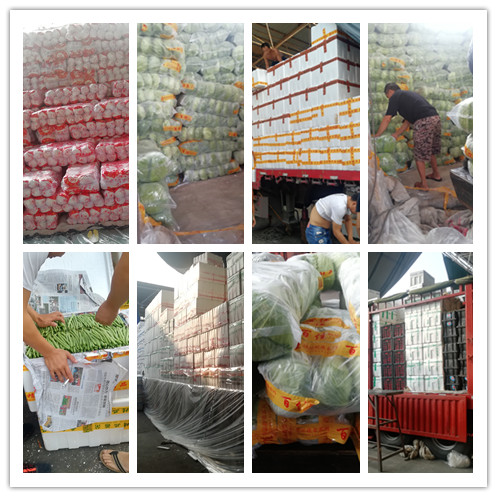 AG真人国际(中国) - 官方网站